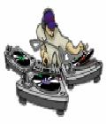 images/avatars/avatar-1586.jpg