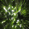 images/avatars/avatar-2887.jpg