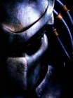 images/avatars/avatar-382.jpg